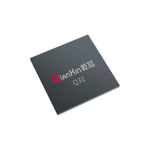 Q31 Iris Chip FPGA Core – Cost-Optimized Single-Chip Solution for Iris