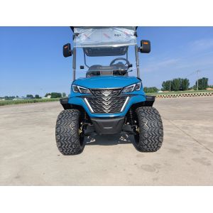 1740mm Wheelbase Two Seater Golf Cart With LCD Instrument Dashboard