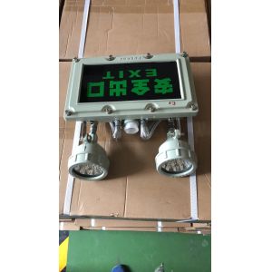 Buy cheap Wall Mounted 220v Double Heads 90 Min Emergency Time 20*3w Explosion Proof LED Emergency Fire Light from wholesalers