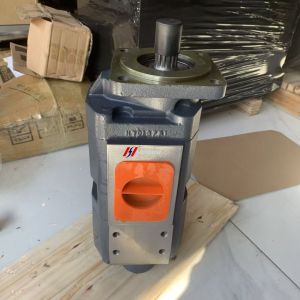 China SEM Wheel Loader Gear Pump Part No. 5564831 on sale