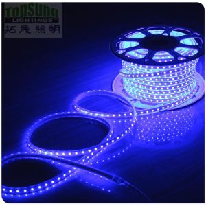 Buy cheap 100m 230v AC led strip 5050 waterproof cuttable strips lights flexible blue product