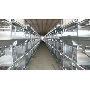 Buy cheap Prefabricated Chicken Shed and Chicken Farm with High Quality from wholesalers