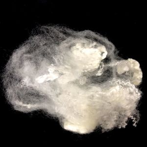 Buy cheap Raw White Virgin PTT Bosilun Fiber High Toughness For Producing Knit Goods from wholesalers