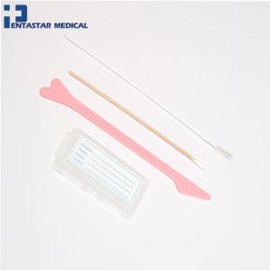 High quality Cervical Smear Disposable Cervical Smear Medical cervical spatula