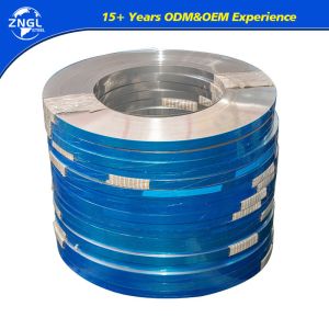 Buy cheap Inspection Stainless Steel Strip AISI ASTM 304 310S 316 321 with Thickness 100-2000mm from wholesalers