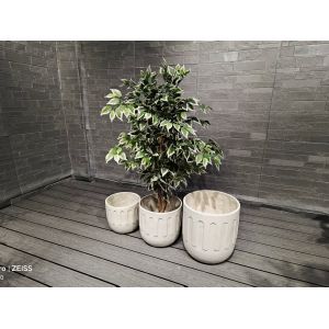 Striking Modern Fiber Clay Planter with Drainage Frost Resistant