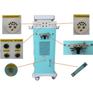 Buy cheap Cavitation RF Cryolipolysis Slimming Machine 1000W For Weight Loss from wholesalers