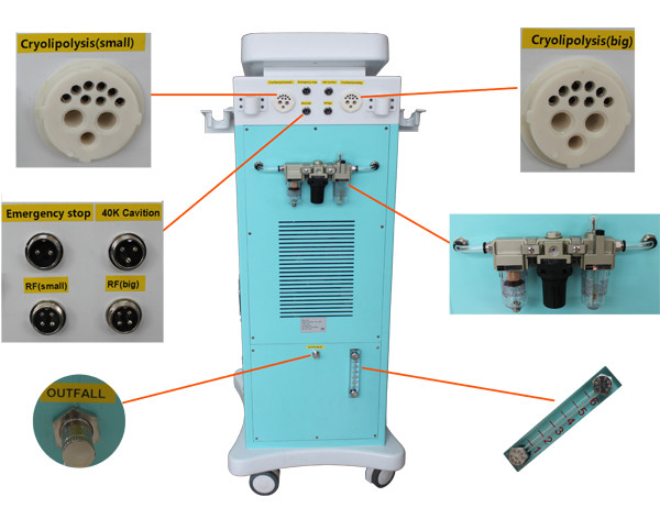 Quality Cavitation RF Cryolipolysis Slimming Machine 1000W For Weight Loss for sale