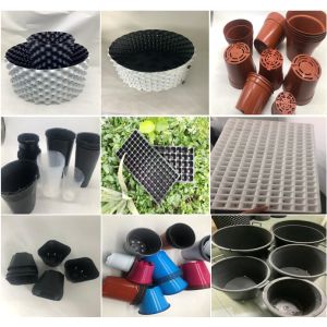 Buy cheap 50 Holes Plastic Seedling Tray Nursery Tray For Flower And Trees Cell Tray from wholesalers