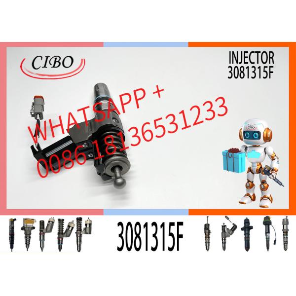 Diesel Fuel Injector 3081315 3073995F 3083846T 3083848F 3411766F 3080931F
