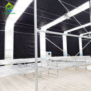 9.6m To 12m Span Light Deprivation Greenhouse Gothic Style Black Out Greenhouse
