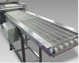 Buy cheap                  Conveyor Belt Conveyor Can Be Used to Transport Seedling Containers              from wholesalers