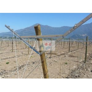 Non - Overlapping Open Gable Trellis System Excellent Ventilation And Air