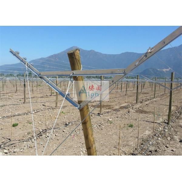 Non - Overlapping Open Gable Trellis System Excellent Ventilation And Air