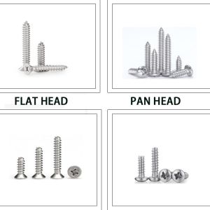 Metal Drilling Function Self-Tapping Screw Ss304 316 Stainless Steel Phillips