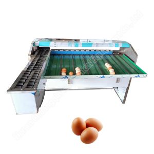 Buy cheap Egg Size Sorting Machine Egg Sorter Machine Automatic Egg Grading Machine from wholesalers