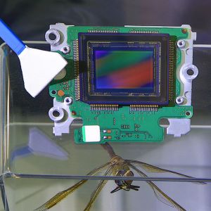 Buy cheap Body Electrical Sound Audio Electronics Testing Labs EFT CS Third-party testing and authentication services from wholesalers