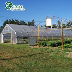 Buy cheap Small Garden Greenhouses With Double Layer And Automatic Control Box from wholesalers