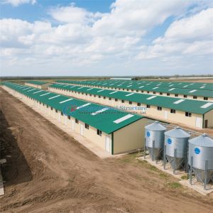 Buy cheap Chicken Broiler Poultry Farm Steel Structure Shed House for 15000 Chickens from wholesalers