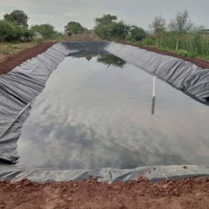 Buy cheap Fish Pond HDPE Geomembrane Liner with Double Smooth Surface 0.5mm 1.0mm 1.2mm 2mm from wholesalers