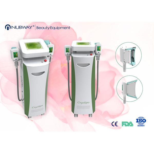 Quality Powerful vertical best results cryolipolysis coolsculpting with CE for sale