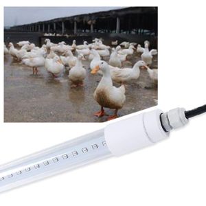 Buy cheap AC 85V Chicken Coop LED Light from wholesalers