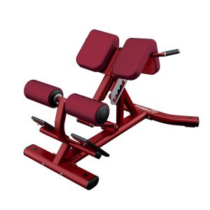 Buy cheap Adjustable  Roman Chair Back Extension Machine Physical Training Applied from wholesalers