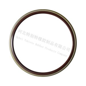 OEM 0109973046 Oil Seal TB Type For Yutong Bus 160x180x11/10