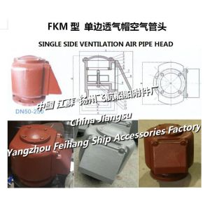 CB/T3594-1994 single side venting air pipe head, FKM type float air pipe head