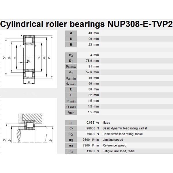 cylindrical roller bearing NUP308 Factory price bearing NUP308