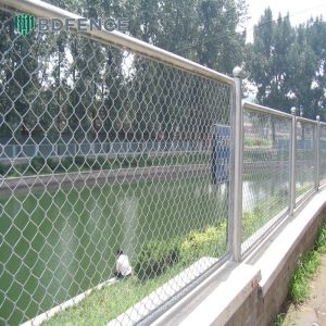 Buy cheap Garden Border Chain Link Fence Rodent Barrier from wholesalers
