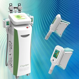 Buy cheap Hottest weight loss cryolipolysis slimming machine with 5 handles for beauty spa from wholesalers