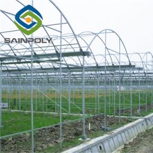 Buy cheap Arch Roof White 4m Polyethylene Film Greenhouse For Fruit from wholesalers