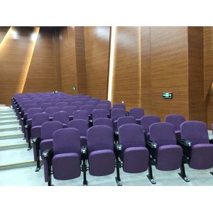Molded Foam Solid Wood Auditorium Theater Seating Function University Lecture