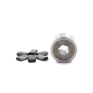 Buy cheap Professional Customized Punch Die Carbide Segmented Dies from wholesalers