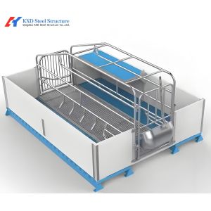 Customized High Strength Pig Feeding System For Livestock Piglet