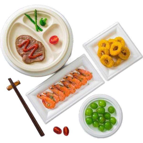 Quality Dishwasher Safe PLA Tableware Customizable  Biodegradable Food Container for sale