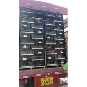 Small collapsible plastic crates for fruits and vegetables