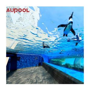 Buy cheap Hotel Villa Swimming Pool Clear Thick Acrylic Glass Sheet for Pool and Pool Area from wholesalers