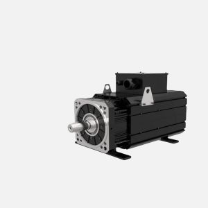 IP54/IP55 Blushless AC Synchronous Motor With Speed Control Adjustment Via VFD 1