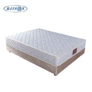 Rayson Pillow Top Orthopedic Twin Spring Bed Mattress Jacquard Knitted Fabric