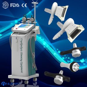 Buy cheap Cryolipolysis Slimming Machine / Vacuum Cavitation System For Home from wholesalers