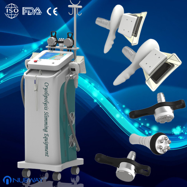 Quality Vacuum Cryolipolysis Slimming Machine / Fat Freeze with OEM & ODM Service for sale