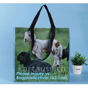 Buy cheap heat transfer printed pp woven fruit multifuction foldable tote shopping bags, eco woven fabric 60gsm-140gsm, optimizing from wholesalers