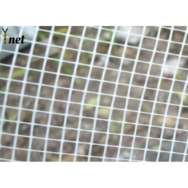 Buy cheap Orange Plastering Fiberglass Mesh 5X5mm Plaster Mesh Roll 160g For Wall from wholesalers