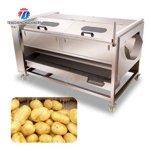 Buy cheap Ginger Potato Carrot Taro Sweet potato Yam Saiko persimmon papaya horseshoe Sealed Cover Type Peeling Machine Wash Washer Washing Cleaning from wholesalers