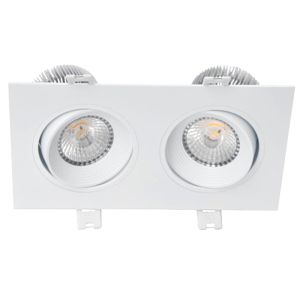 Double Heads LED Downlight