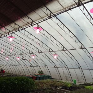 Buy cheap Automatic Air Circulation Solar Passive Greenhouses Customized from wholesalers