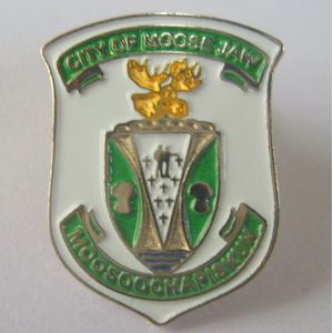 Iron / Brass Die Struck With Soft Enamel Lapel Pin Badge