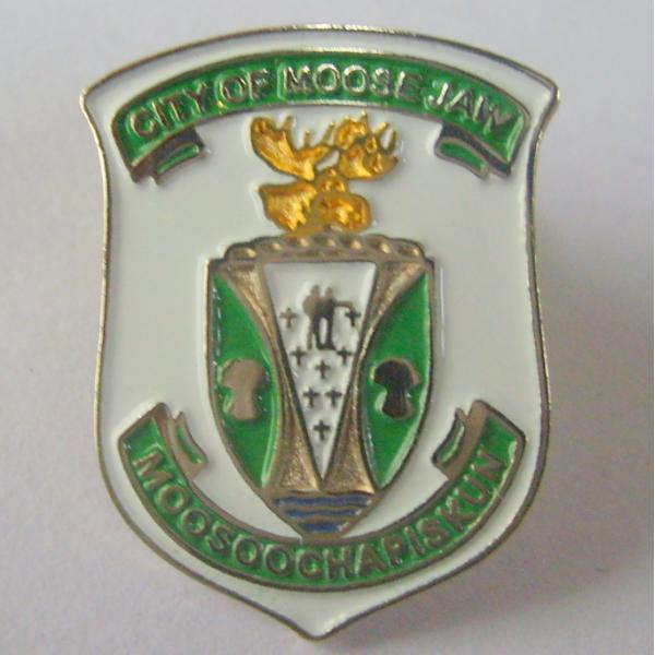 Quality Iron / Brass Die Struck With Soft Enamel Lapel Pin Badge for sale